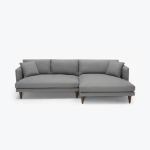 Lewis Sectional